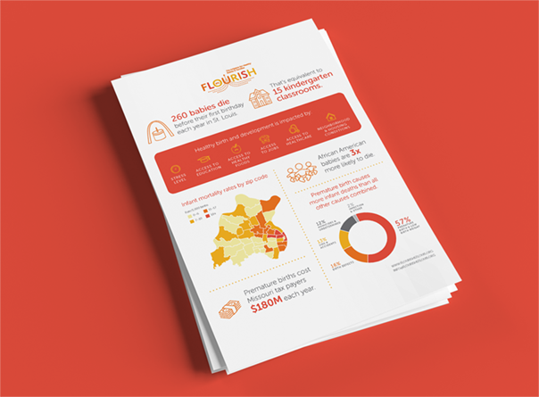 Sample FLOURISH fact sheet mockup