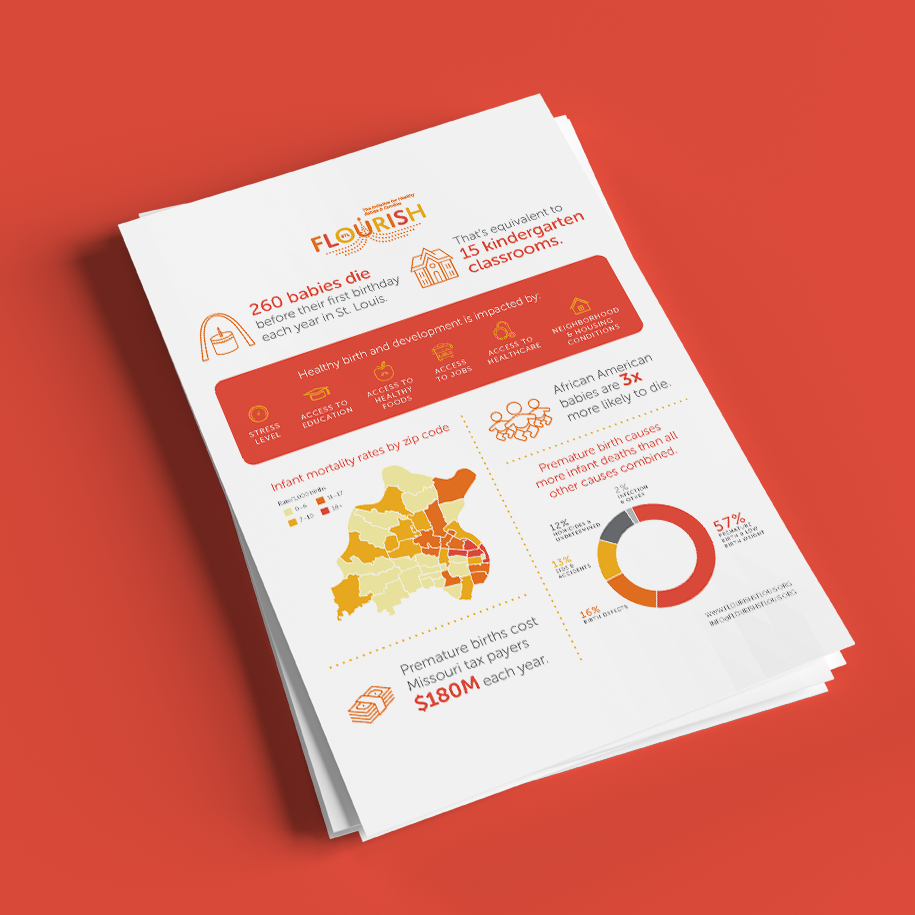 Sample FLOURISH fact sheet mockup